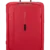 Hibiscus Red