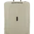Warm Neutral