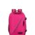 Raspberry Sorb