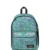 Flora Fade Aqua